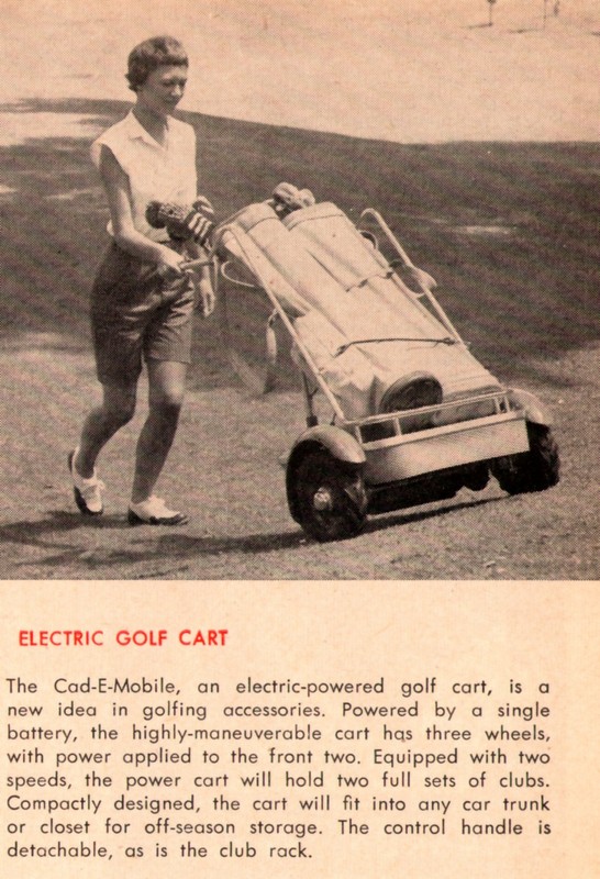 GD Electric hand cart 5-59