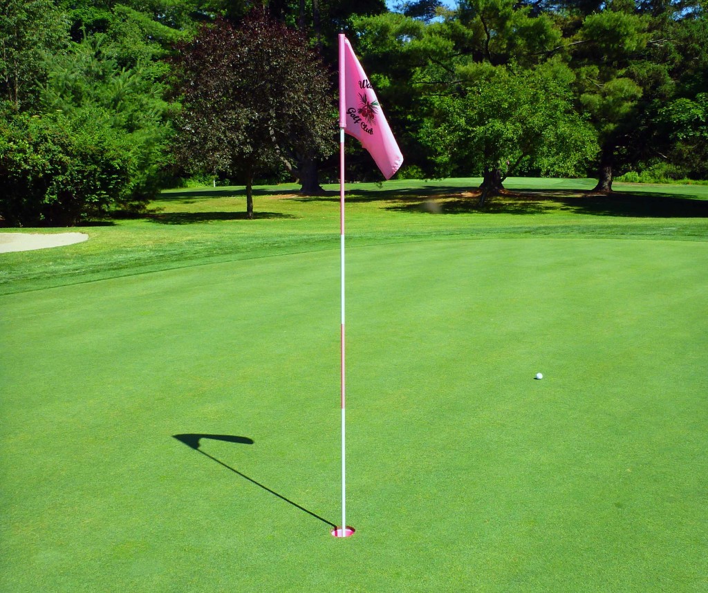 pinkflag